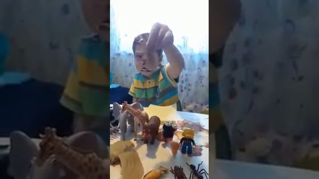 Размер животных. смотреть онлайн
