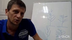 Нюансы обрезки Ореха грецкого.