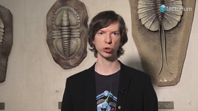 Ярослав Попов: Как на Земле появились первые хищники? смотреть онлайн