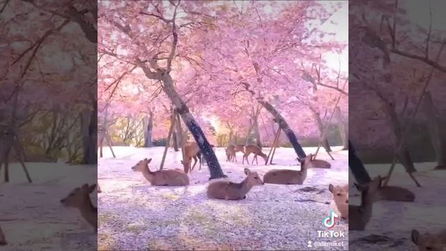 просто красиво!!! смотреть онлайн