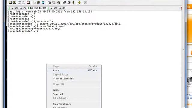 04.27_Oracle_10gR2_RAC_4.27 Verify TNS Networking Files.avi смотреть онлайн
