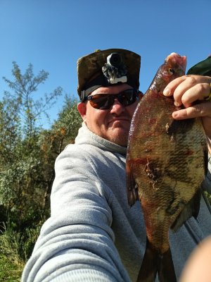 Осенние трофеи на донки осенью