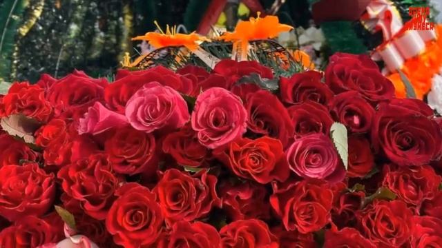 Скорбящие родственники и море цветов: прощание с 26-летней моделью Лидией Пономаревой смотреть онлайн
