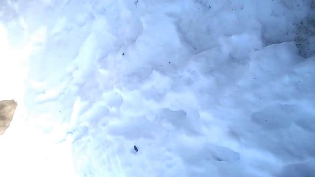 Шланг ГБО 12 мм смотреть онлайн