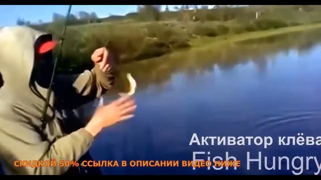 Обзор Fish Hunt активатор клева отзывы, фиш хант стимулятор улова, приманка, цена, купить смотреть онлайн