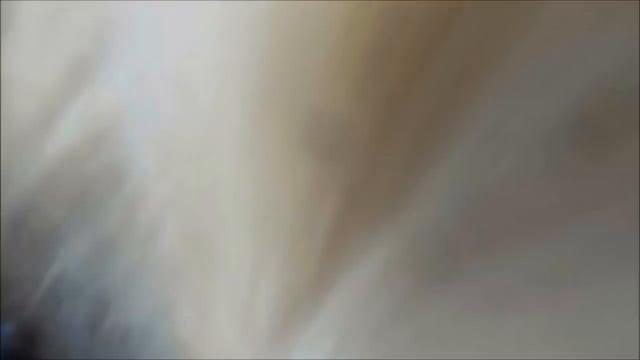 Атака 2 волков на Ямтхунда(Швеция) смотреть онлайн