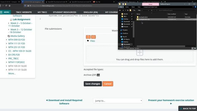 Submit and Zip Labs смотреть онлайн