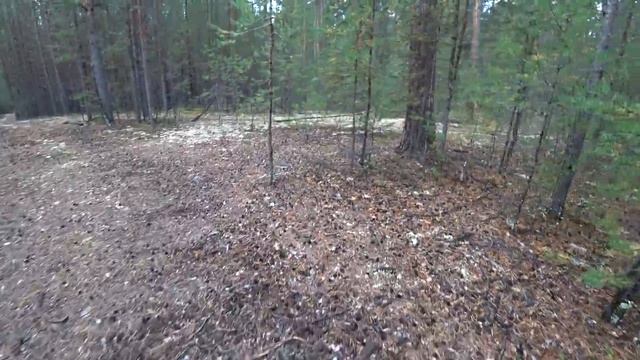 Есть ли грибы за морем ? Идем посмотреть на катере. Братское водохранилище. смотреть онлайн