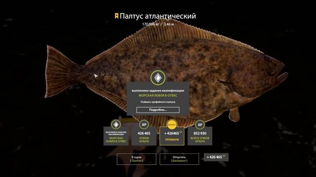 Русская рыбалка 4 Камбала морская смотреть онлайн