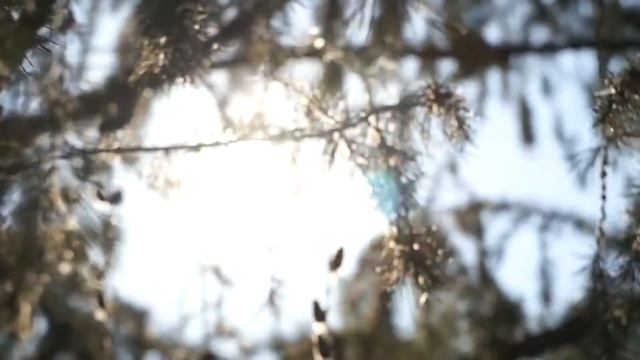 Лимонная планета   Леонид Каганов MDS FTRBTpro