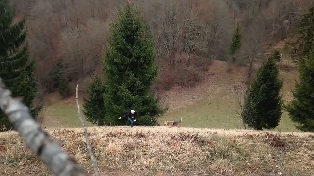 Amare un cane: questo è il nostro Manifesto смотреть онлайн