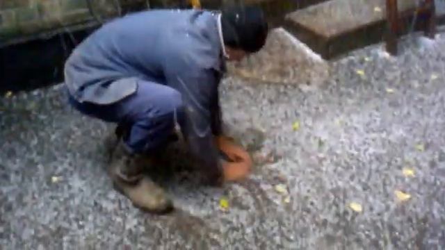 Аномалия в сентябре. 29.09.2013 смотреть онлайн