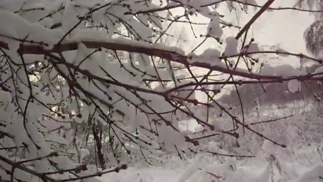 Избушка на курьих ножках. Видео прогулка Валентины.