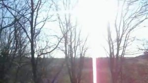 Кировоград гончие