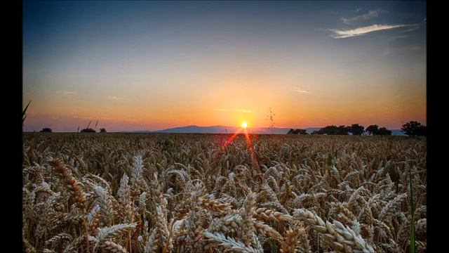 Menuhin Bach Violin Concerto & Triple Concerto