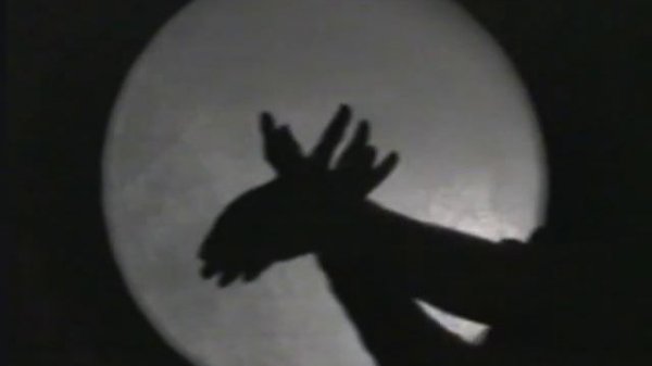 Тени "Пластилиновая ворона" mag.itsmagic.ru Shadow Show