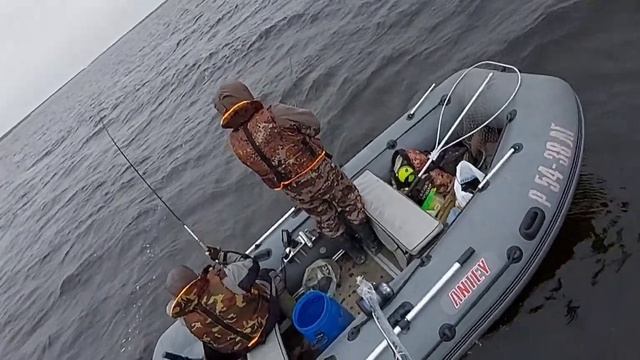 Окунь 800 грамм на спиннинг смотреть онлайн