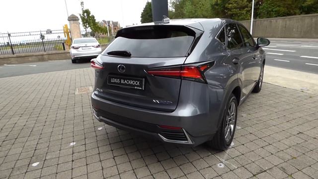 182 Lexus NX300h Hybrid Executive - Lexus Blackrock смотреть онлайн