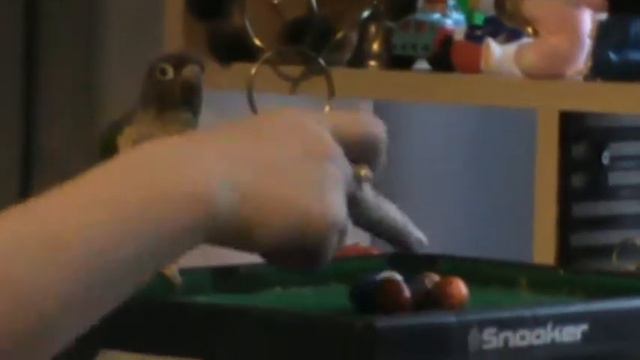 бильярд смотреть онлайн