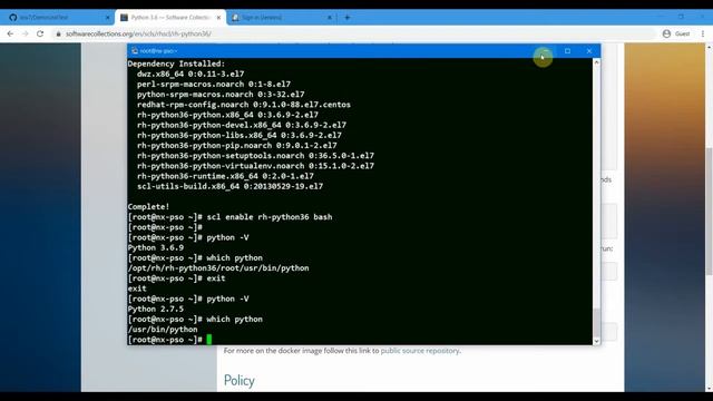 Python UnitTesting: Use Jenkins to Execute Tests From GitHub with Pytest смотреть онлайн