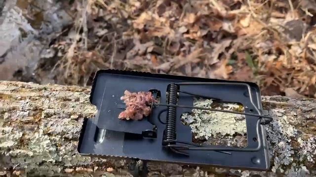 Metal Rat Trap смотреть онлайн