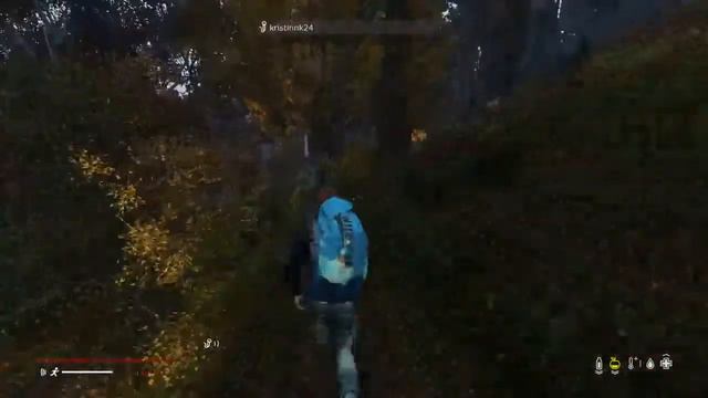 DayZ 1.15 Ps4 Gameplay Official - How Is DayZ On Console/Ps4 In 2022 Og Family Link up смотреть онлайн