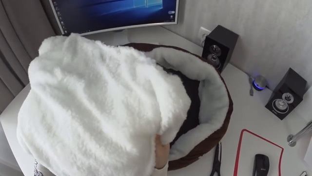 Покупки с Aliexpress | Домик для кота | Лежанка из Китая смотреть онлайн