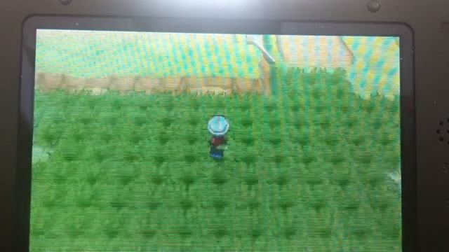 Pokemon x and y how to shiny chain hunt with pokeradar смотреть онлайн