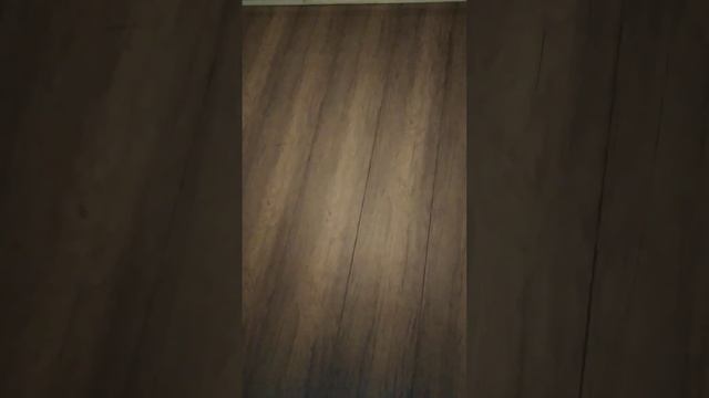 жду удешевлённый вариант модели TWS наушников SONY WF XB700 за 3000 рублей смотреть онлайн