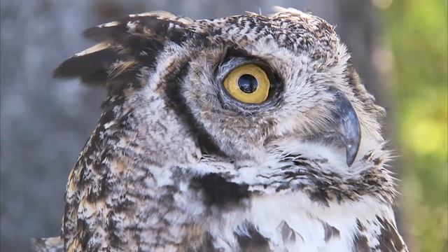 16 июня. Лукян Ветряк. День чекушки. Праздники, приметы, традиции. смотреть онлайн