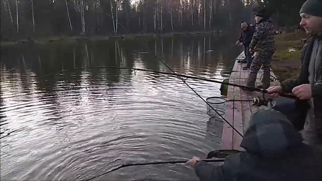 Форель ловится и на активные, и на пассивные снасти. Клёвое место, Лосиный остров, верхний водоём. смотреть онлайн