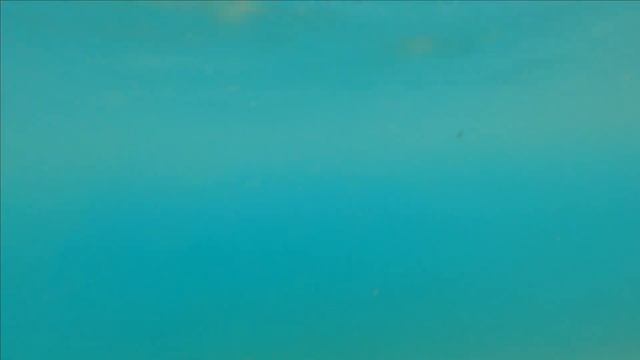 КРЫМ 2023  Было КРУТО. Открыл СЕЗОН для себя  ОТДЫХ на МОРЕ Ялта на ДЗЕН