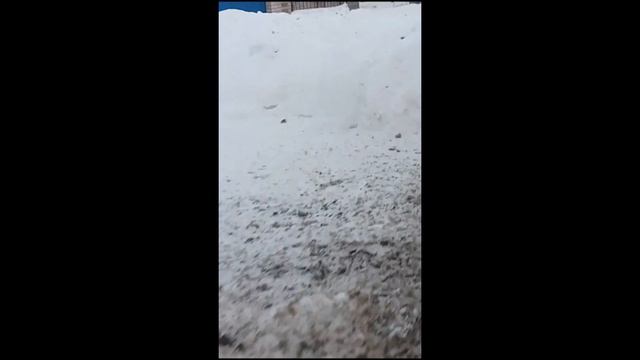 Полицейский дебил, пытался быть умным) смотреть онлайн