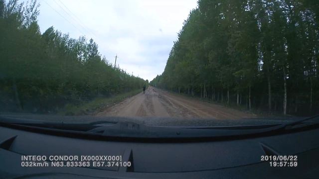 По просьбам зрителей оригинал Медведь напал на человека смотреть онлайн