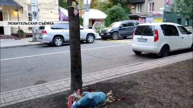 Сургутский рэп-исполнитель Павел Романюк провел встречу с молодежью смотреть онлайн