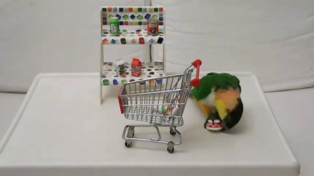 Попугай в магазине.flv смотреть онлайн