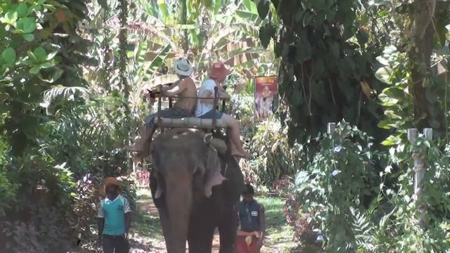 Гоа. Индия. Катание на слонах. Реальное видео! Смотреть всем!))) смотреть онлайн