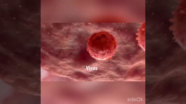 coronavirus смотреть онлайн