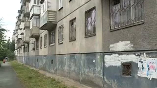 Опасные голуби в Челябинске смотреть онлайн