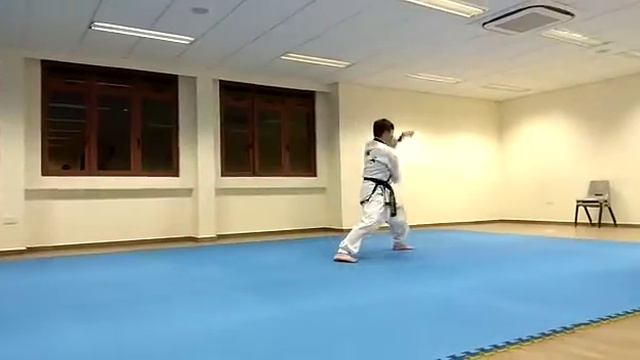 HAN MU DO Kwon Bub Bo - Korea's oldest Fist Form - by Master Tan Chuan Yang from Hanmudo Singapore смотреть онлайн