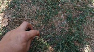 Восстанавливаем резиновый уплотнитель двери и капота в автомобиле