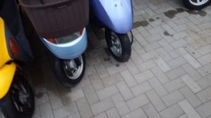 HONDA DIO.хонда дио