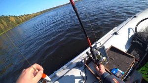 Гимс Проверяет двигло 9.9