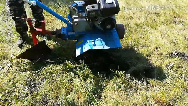 ЦЕЛИНУ МОТОБЛОКОМ ПАШЕМ ПЛУГОМ ФРЕЗОЙ