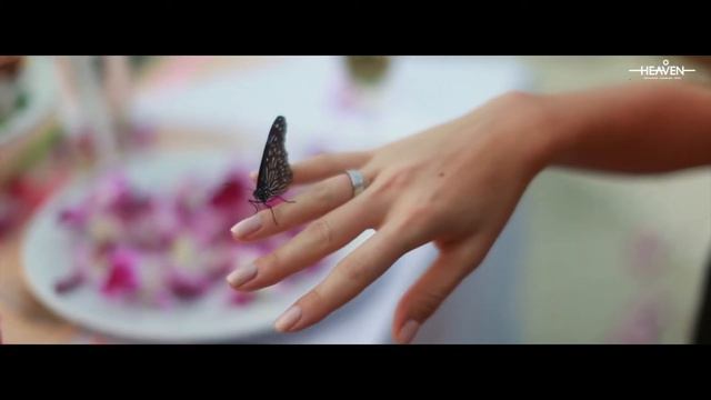 предложение смотреть онлайн