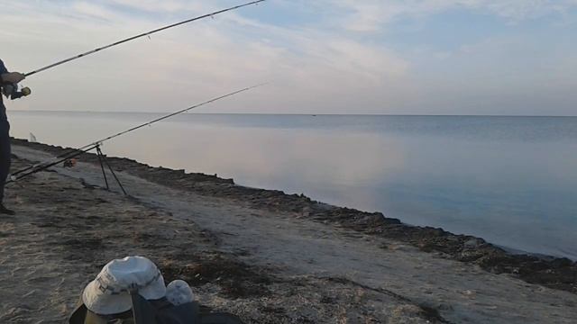 РЫБАЛКА С "ОДНОГРУППНИКАМИ" 03.10.2020г. ЛОВЛЯ ПЕЛЕНГАСА НА АЗОВСКОМ МОРЕ смотреть онлайн