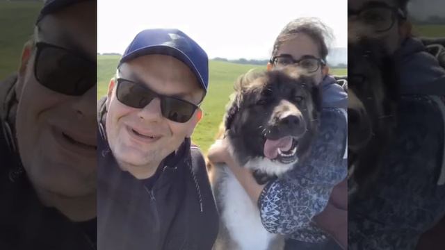Caucasian shepherd princess смотреть онлайн