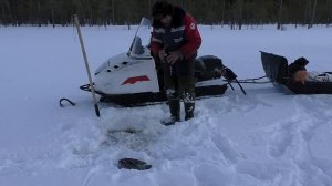 ЛОСЬ ПРИШЁЛ НА РАЗБОРКИ, НО ЕЛЕ УНЕС НОГИ!  НАШЕЛ ОЗЕРО С КУЧЕЙ РЫБЫ! ЛУЧШАЯ РЫБАЛКА СЕЗОНА!