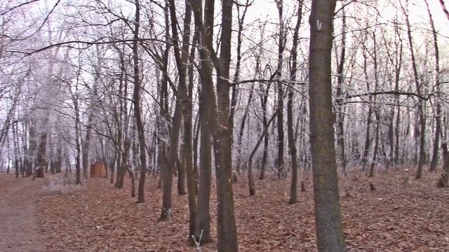 12_12_2019_НА КИРПИЧНОМ ПРУДУ_СЕЛЬСКИЙ ПРУД_ГОФИЦКОЕ.mp4 смотреть онлайн