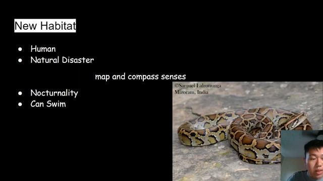 Untitled presentation - Google Slides смотреть онлайн